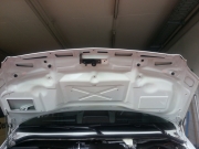 Motorhaube SEF Stetten
