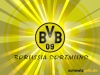 Bild BVB
